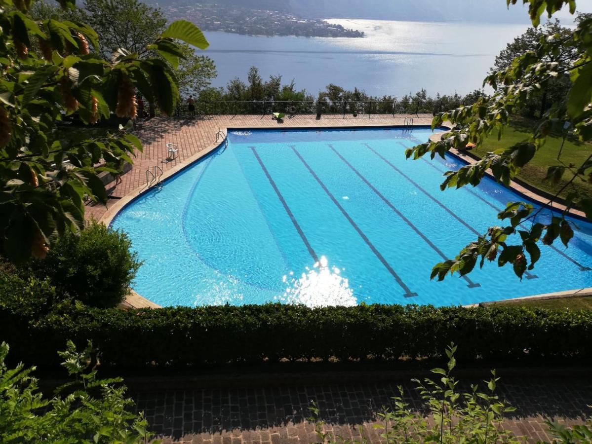 Attico With Big Terrace In Residence With Pool Valbrona Екстериор снимка